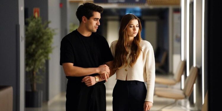 Ženskaroš u vili – Sadržaj 20. epizode