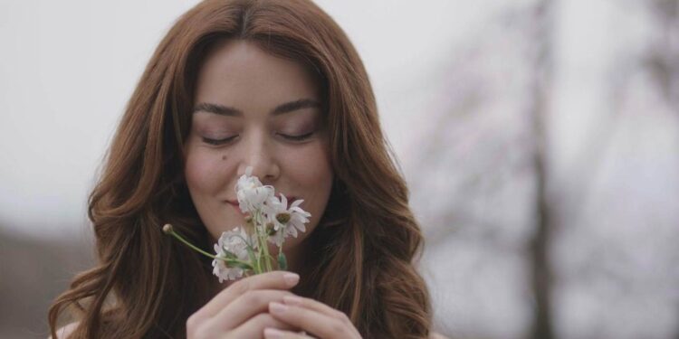 Mali zrak svetlosti – Sadržaj 26. epizode