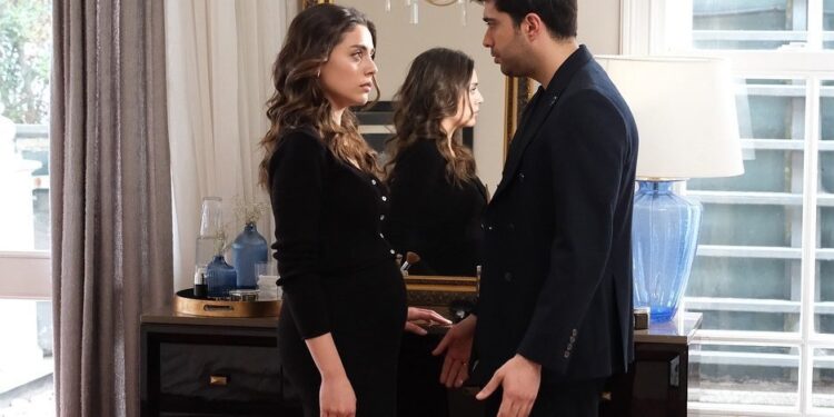 Šerbet od brusnice – Sadržaj 28. epizode