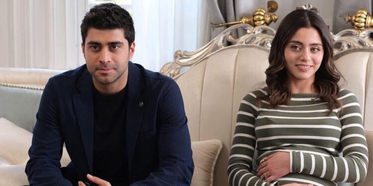 Šerbet od brusnice – Sadržaj 25. epizode