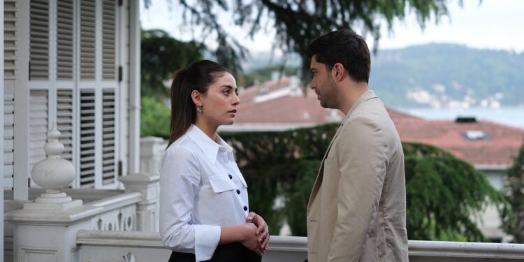 Šerbet od brusnice – Sadržaj 29. epizode