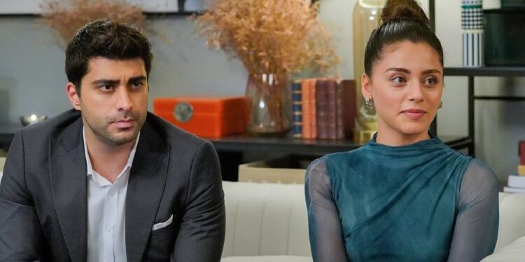 Šerbet od brusnice – Sadržaj 38. epizode