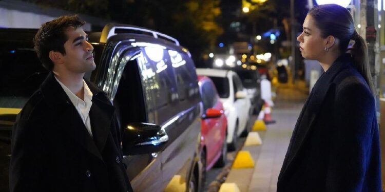 Ženskaroš iz vile – Sadržaj 53. epizode