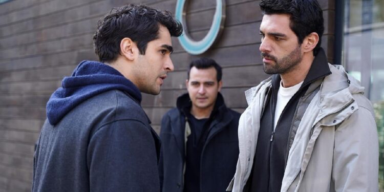 Ženskaroš iz vile – Sadržaj 60. epizode