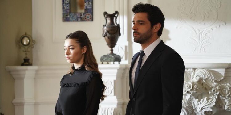 Ženskaroš iz vile – Sadržaj 61. epizode