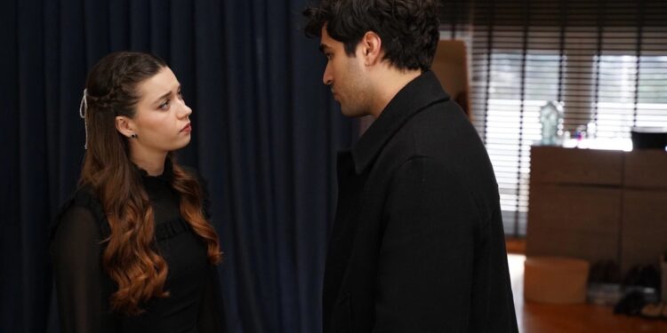 Ženskaroš iz vile – Sadržaj 62. epizode