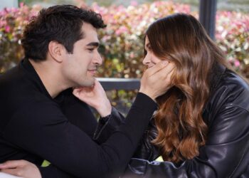 Ženskaroš iz vile – Sadržaj 65. epizode