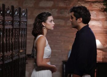 Ženskaroš iz vile – Sadržaj 76. epizode