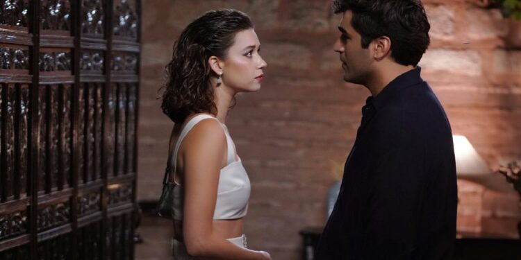 Ženskaroš iz vile – Sadržaj 76. epizode