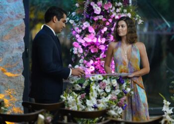 Ženskaroš iz vile – Sadržaj 75. epizode