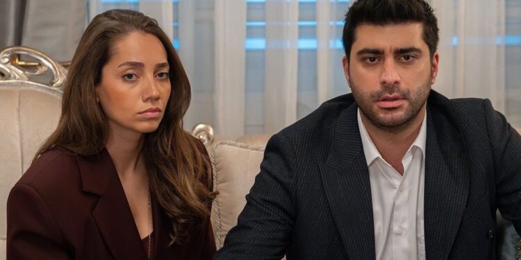 Šerbet od brusnice -Sadržaj 71. epizode