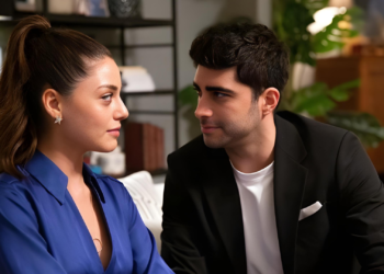 Za zdravu ljubav ovde nema mesta: psihološka analiza parova iz serije „Šerbet od brusnice“