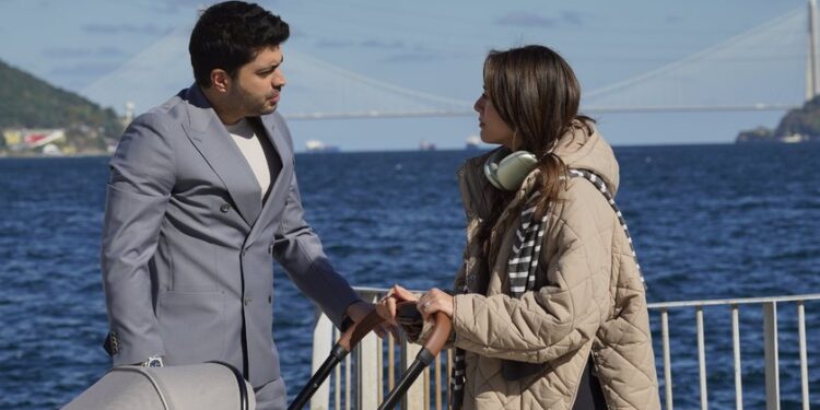 Šerbet od brusnice – Sadržaj 74. epizode