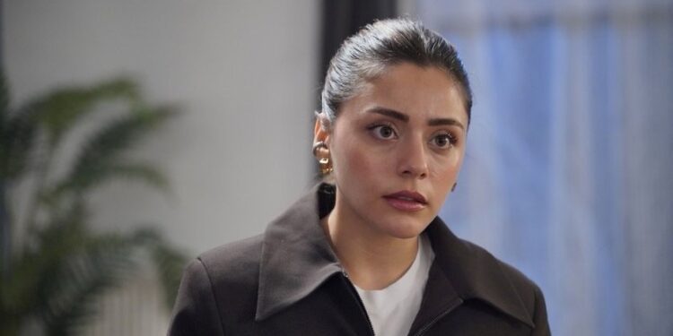 Šerbet od brusnice – Sadržaj 78. epizode