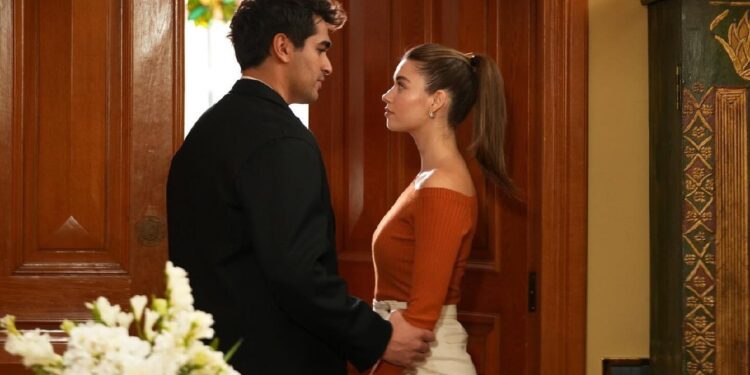 Ženskaroš iz vile – Sadržaj 85. epizode