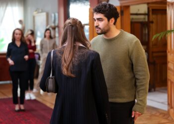 Ženskaroš iz vile – Sadržaj 91. epizode