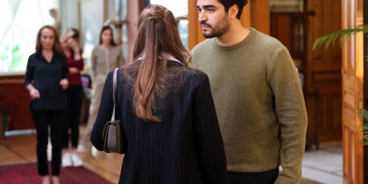 Ženskaroš iz vile – Sadržaj 91. epizode