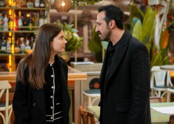 Ženskaroš iz vile – Sadržaj 93. epizode