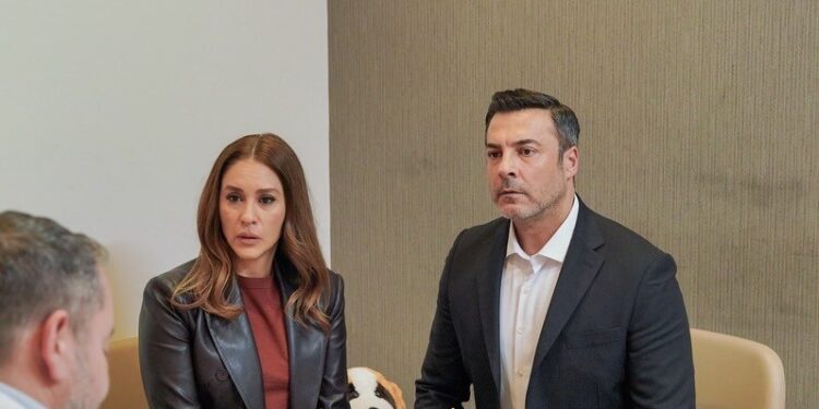 Šerbet od brusnice – Sadržaj 126. epizode